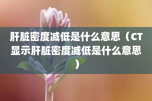 肝脏密度减低是什么意思（CT显示肝脏密度减低是什么意思）