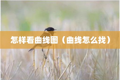 怎样看曲线图（曲线怎么找）