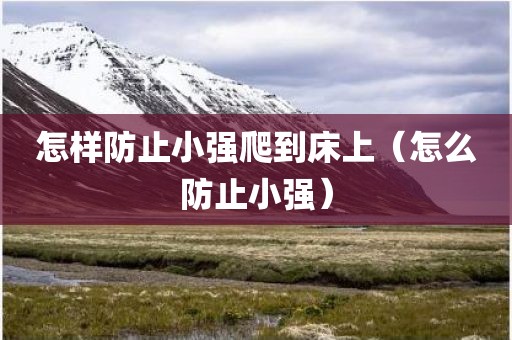怎样防止小强爬到床上（怎么防止小强）
