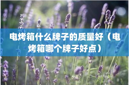 电烤箱什么牌子的质量好(电烤箱哪个牌子好点)