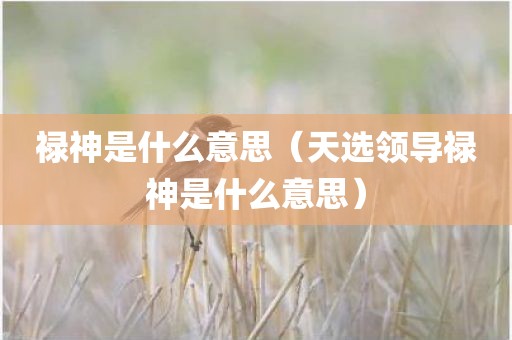 禄神是什么意思（天选领导禄神是什么意思）