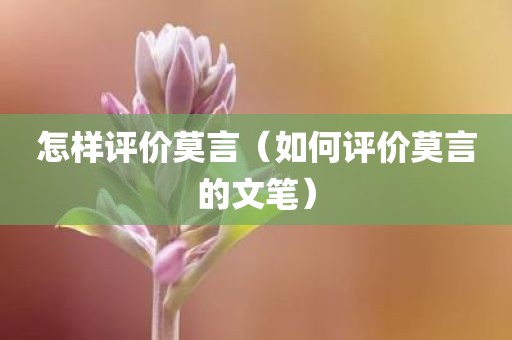 怎样评价莫言（如何评价莫言的文笔）