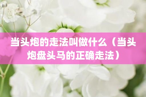 当头炮的走法叫做什么（当头炮盘头马的正确走法）