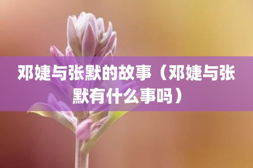 邓婕与张默的故事（邓婕与张默有什么事吗）