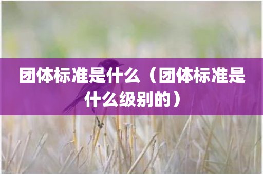 团体标准是什么（团体标准是什么级别的）