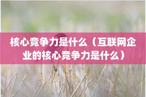核心竞争力是什么（互联网企业的核心竞争力是什么）