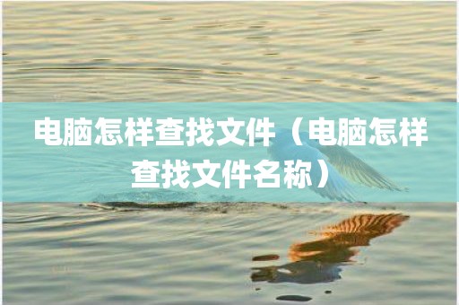 电脑怎样查找文件（电脑怎样查找文件名称）