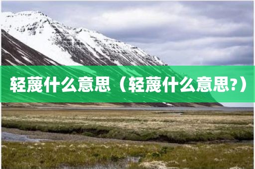 轻蔑什么意思(轻蔑什么意思?)