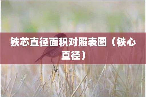 铁芯直径面积对照表图（铁心直径）