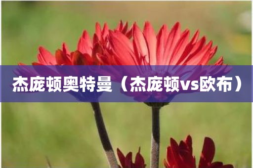 杰庞顿奥特曼（杰庞顿vs欧布）