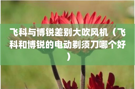 飞科与博锐差别大吹风机（飞科和博锐的电动剃须刀哪个好）