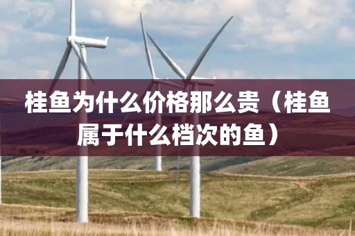 桂鱼为什么价格那么贵（桂鱼属于什么档次的鱼）