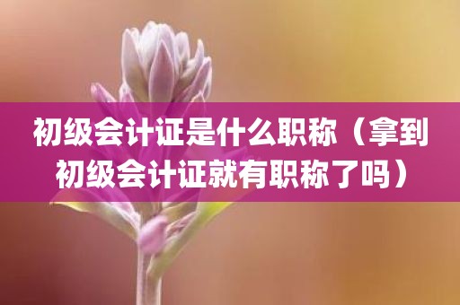 初级会计证是什么职称（拿到初级会计证就有职称了吗）