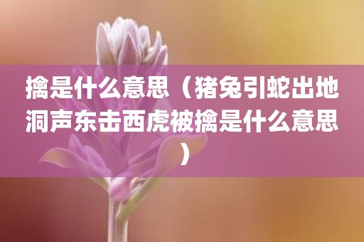 擒是什么意思（猪兔引蛇出地洞声东击西虎被擒是什么意思）