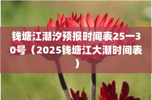 钱塘江潮汐预报时间表25一30号（2025钱塘江大潮时间表）