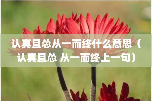 认真且怂从一而终什么意思（认真且怂 从一而终上一句）