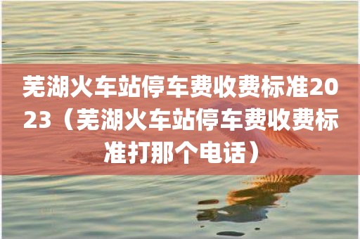 芜湖火车站停车费收费标准2023（芜湖火车站停车费收费标准打那个电话）