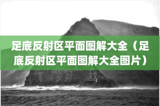 足底反射区平面图解大全（足底反射区平面图解大全图片）