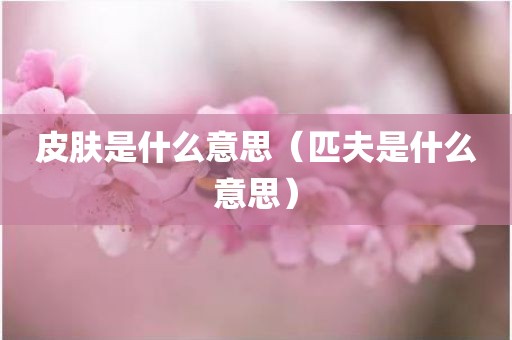 皮肤是什么意思（匹夫是什么意思）