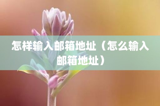 怎样输入邮箱地址（怎么输入邮箱地址）