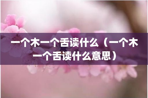一个木一个舌读什么（一个木一个舌读什么意思）