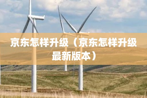 京东怎样升级（京东怎样升级最新版本）