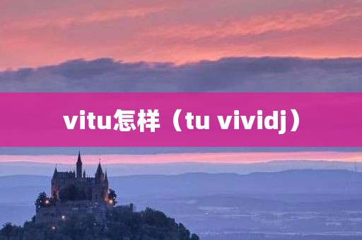 vitu怎样（tu vividj）