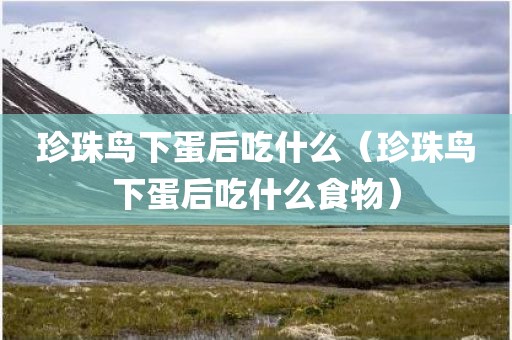 珍珠鸟下蛋后吃什么（珍珠鸟下蛋后吃什么食物）