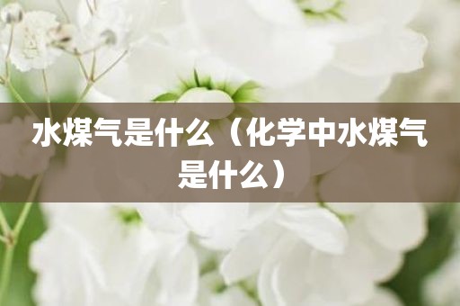 水煤气是什么（化学中水煤气是什么）