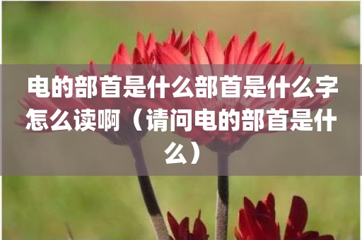 电的部首是什么部首是什么字怎么读啊(请问电的部首是什么)