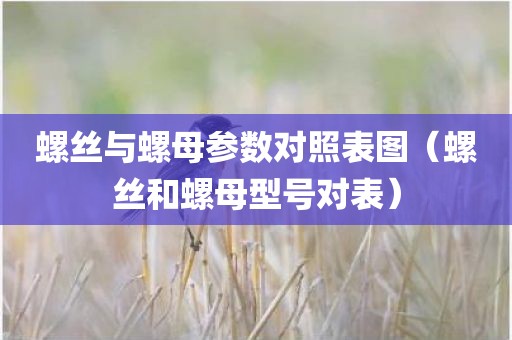 螺丝与螺母参数对照表图（螺丝和螺母型号对表）