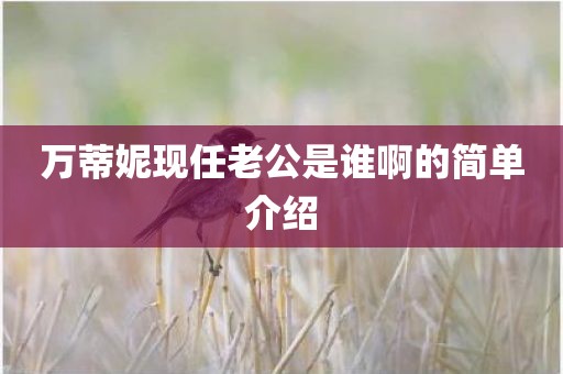 万蒂妮现任老公是谁啊的简单介绍