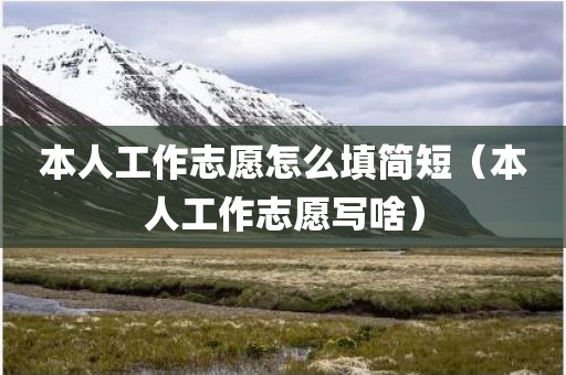 本人工作志愿怎么填简短（本人工作志愿写啥）