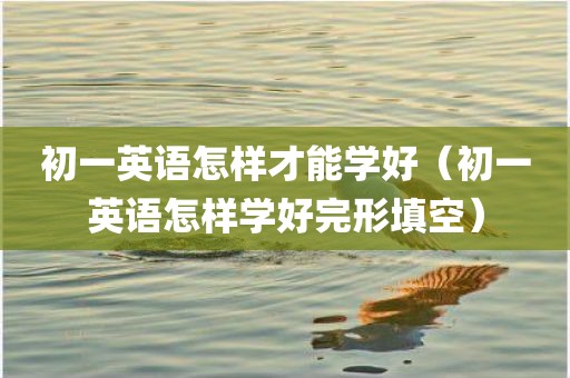 初一英语怎样才能学好（初一英语怎样学好完形填空）