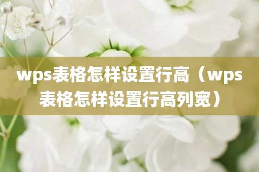 wps表格怎样设置行高(wps表格怎样设置行高列宽) wps表格怎样设置行高(wps表格怎样设置行高列宽)