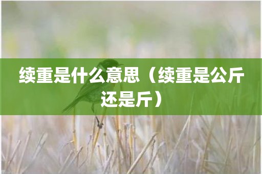 续重是什么意思（续重是公斤还是斤）