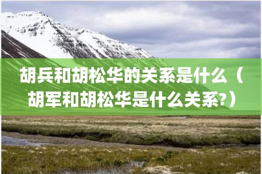 胡兵和胡松华的关系是什么（胡军和胡松华是什么关系?）