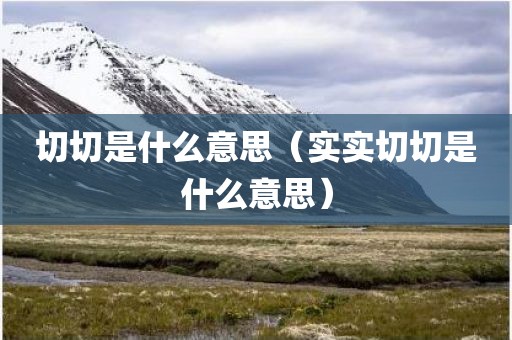 切切是什么意思（实实切切是什么意思）