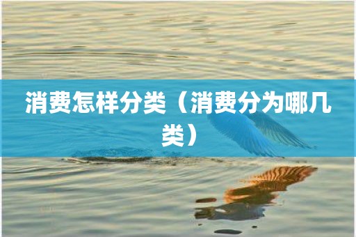 消费怎样分类（消费分为哪几类）
