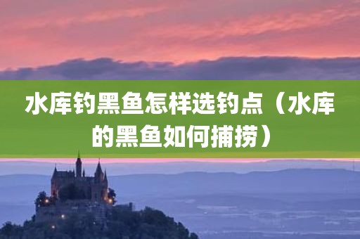 水库钓黑鱼怎样选钓点（水库的黑鱼如何捕捞）