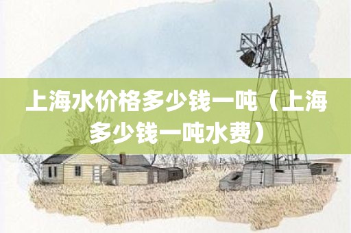 上海水价格多少钱一吨（上海多少钱一吨水费）