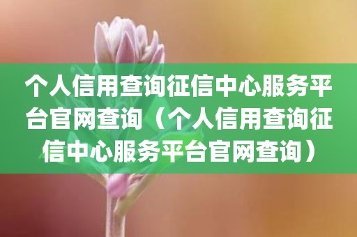 个人信用查询征信中心服务平台官网查询（个人信用查询征信中心服务平台官网查询）
