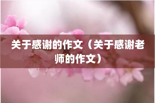 关于感谢的作文（关于感谢老师的作文）