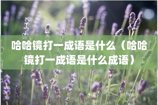 哈哈镜打一成语是什么（哈哈镜打一成语是什么成语）