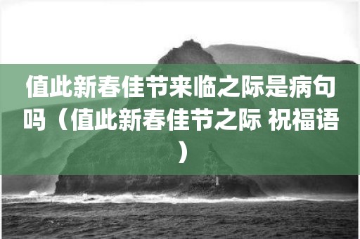 值此新春佳节来临之际是病句吗（值此新春佳节之际 祝福语）