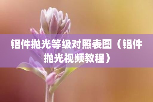 铝件抛光等级对照表图（铝件抛光视频教程）