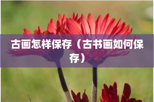古画怎样保存（古书画如何保存）