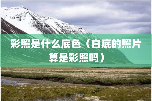 彩照是什么底色(白底的照片算是彩照吗)