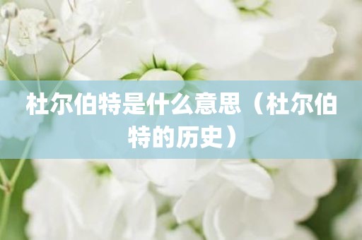 杜尔伯特是什么意思（杜尔伯特的历史）