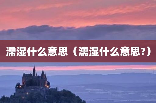 濡湿什么意思（濡湿什么意思?）